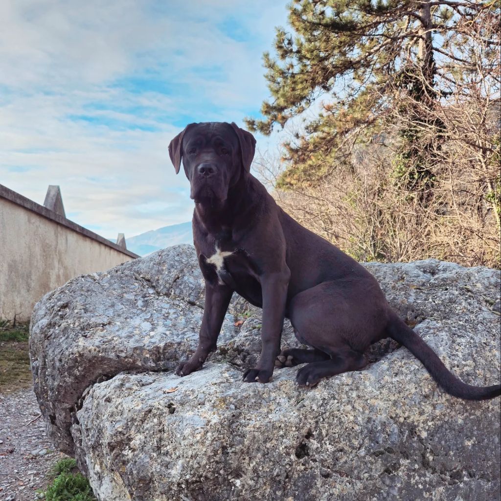 Una bella Des Terres De La Meouge