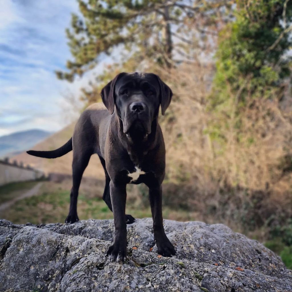 Una bella Des Terres De La Meouge