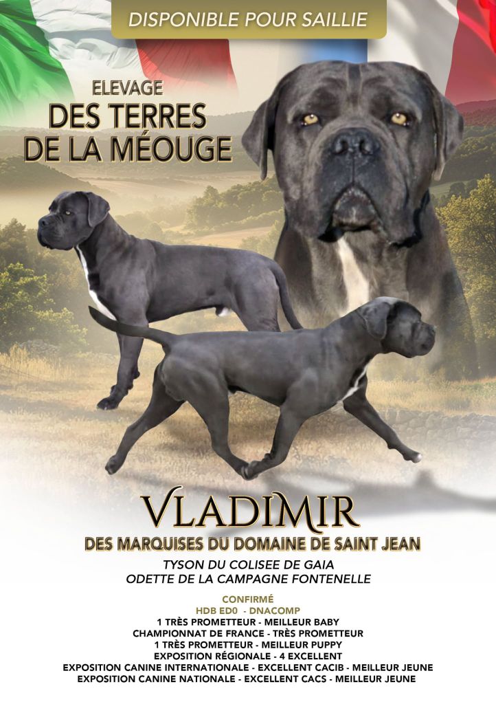 Vladimir des marquises du domaine saint jean